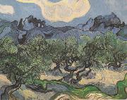 Vincent Van Gogh Olive Trees with the Alpilles in the Background (nn04) painting